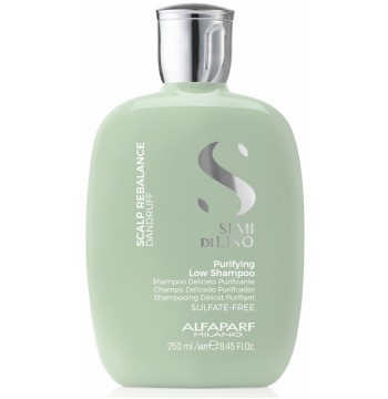 Шампунь очищающий / SDL Scalp Purifying Shampoo 250 мл Alfaparf