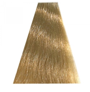 11.3 специальный блондин золотистый экстра Стойкая крем-краска HC “Hair Light Crema Colorante” HAIR COMPANY