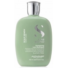 Шампунь энергетический против выпадения волос SDL Scalp Energizing Low Shampoo 250 мл Alfaparf