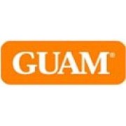 Guam Microcellulaire Line | интенсивная коррекция морщин Guam (Италия)