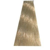 11.0 специальный блондин экстра  Стойкая крем-краска HC “Hair Light Crema Colorante” HAIR COMPANY